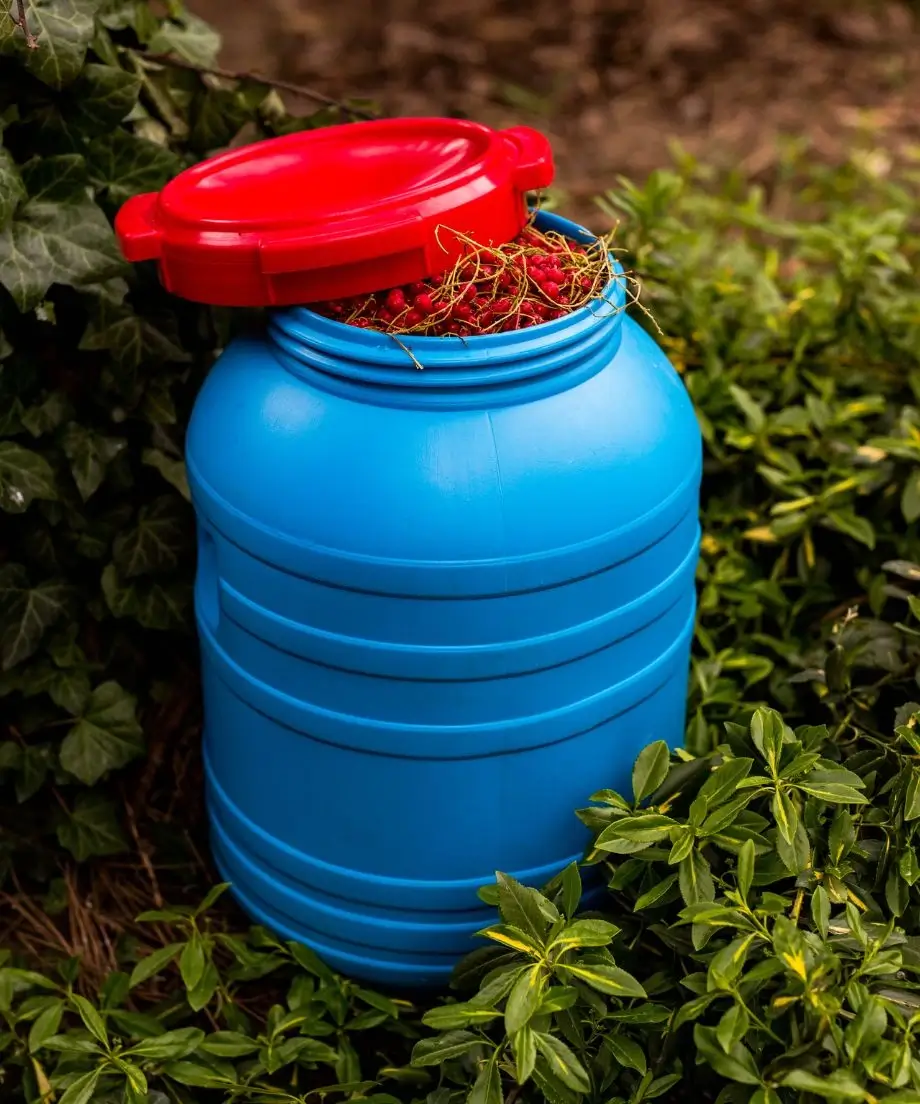 Beczka zapełniona zbiorem owoców