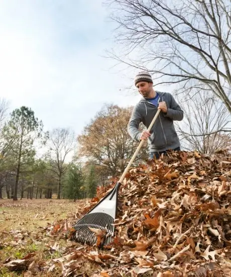 Mężczyzna grabiący liście plastikowymi grabiami